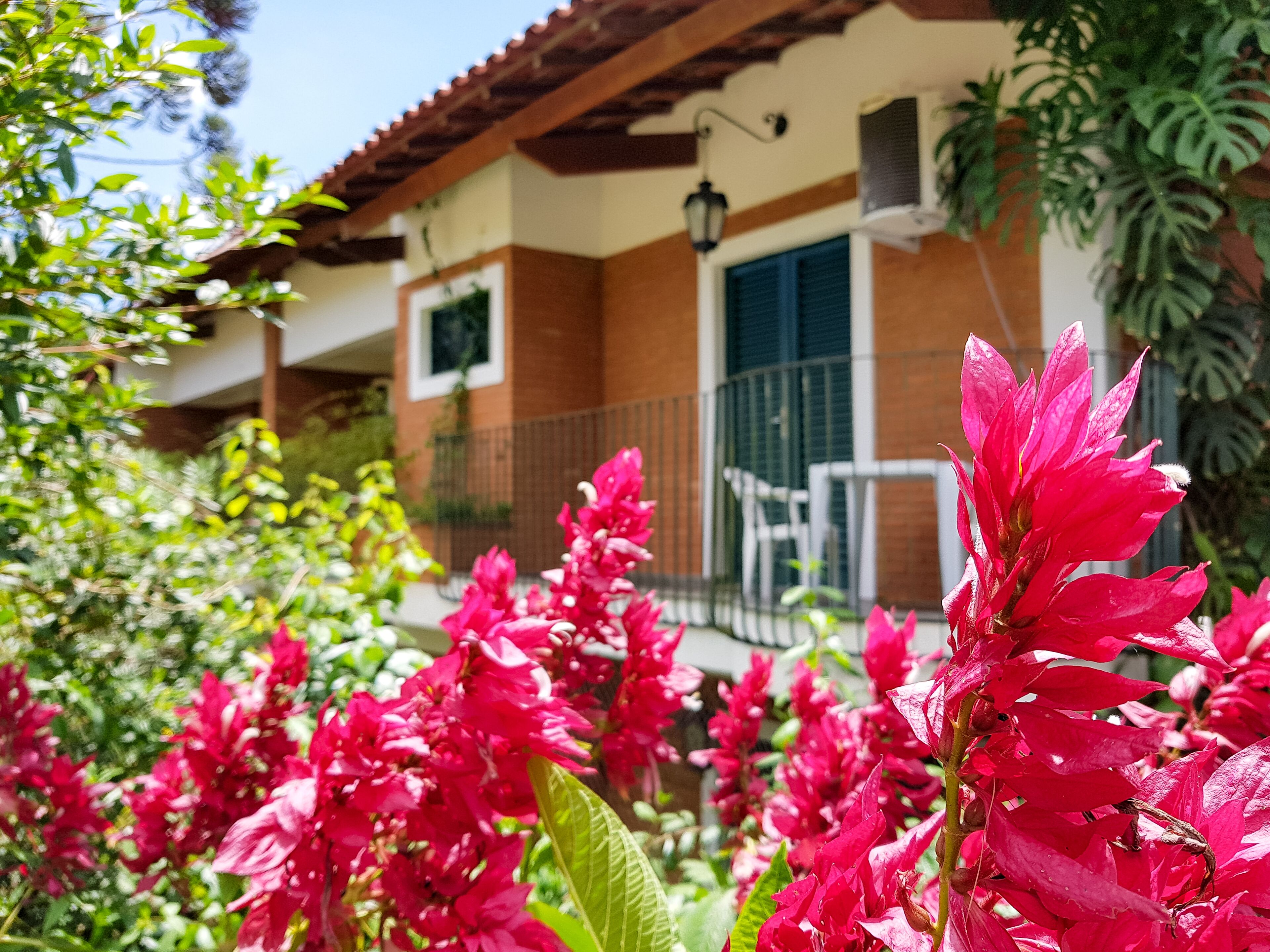 Quarto standard: 2 crianças até 6 anos grátis | Cofres nos quartos, cortinas blackout, Wi-Fi de cortesia, roupa de cama