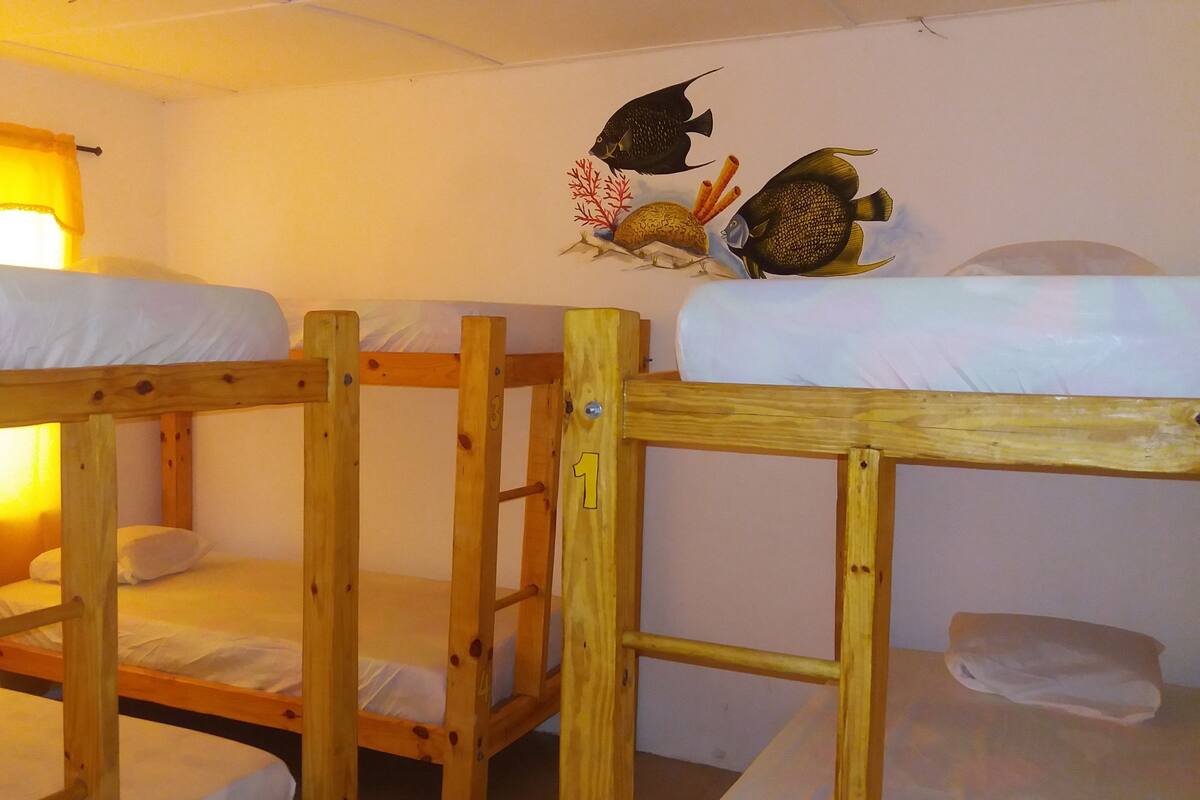 Shared Dormitory, Shared Bathroom (AC) | WiFi (free)