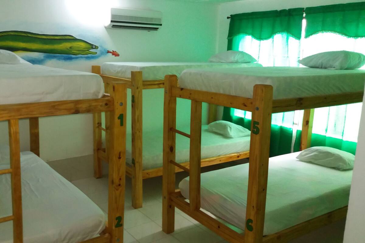Shared Dormitory, Private Bathroom (AC, 6 beds) | WiFi (free)