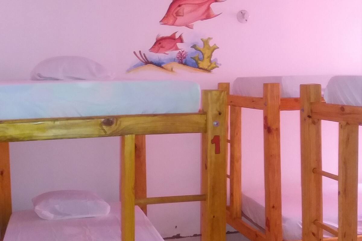 Shared Dormitory, Shared Bathroom (Fan) | WiFi (free)