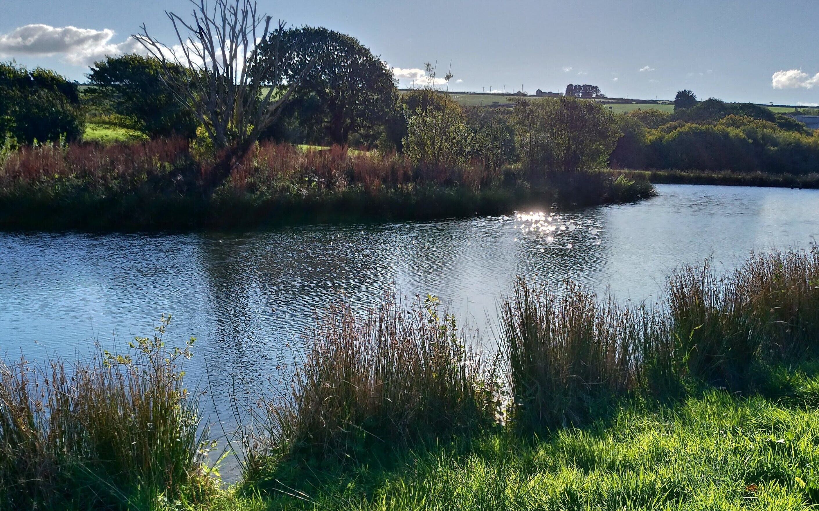 A calm river with surrounding greenery and a distant building.