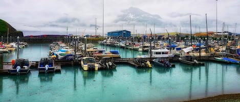 Pesca