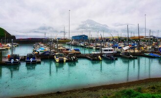Pesca