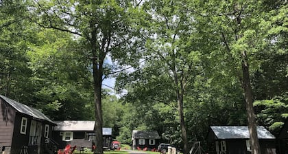 Lake George Bear's Den