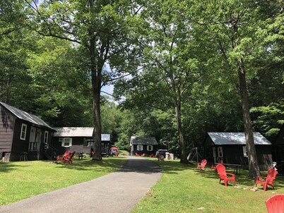 Lake George Bear's Den