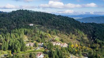A mountainous area with several buildings surrounded by dense forests.