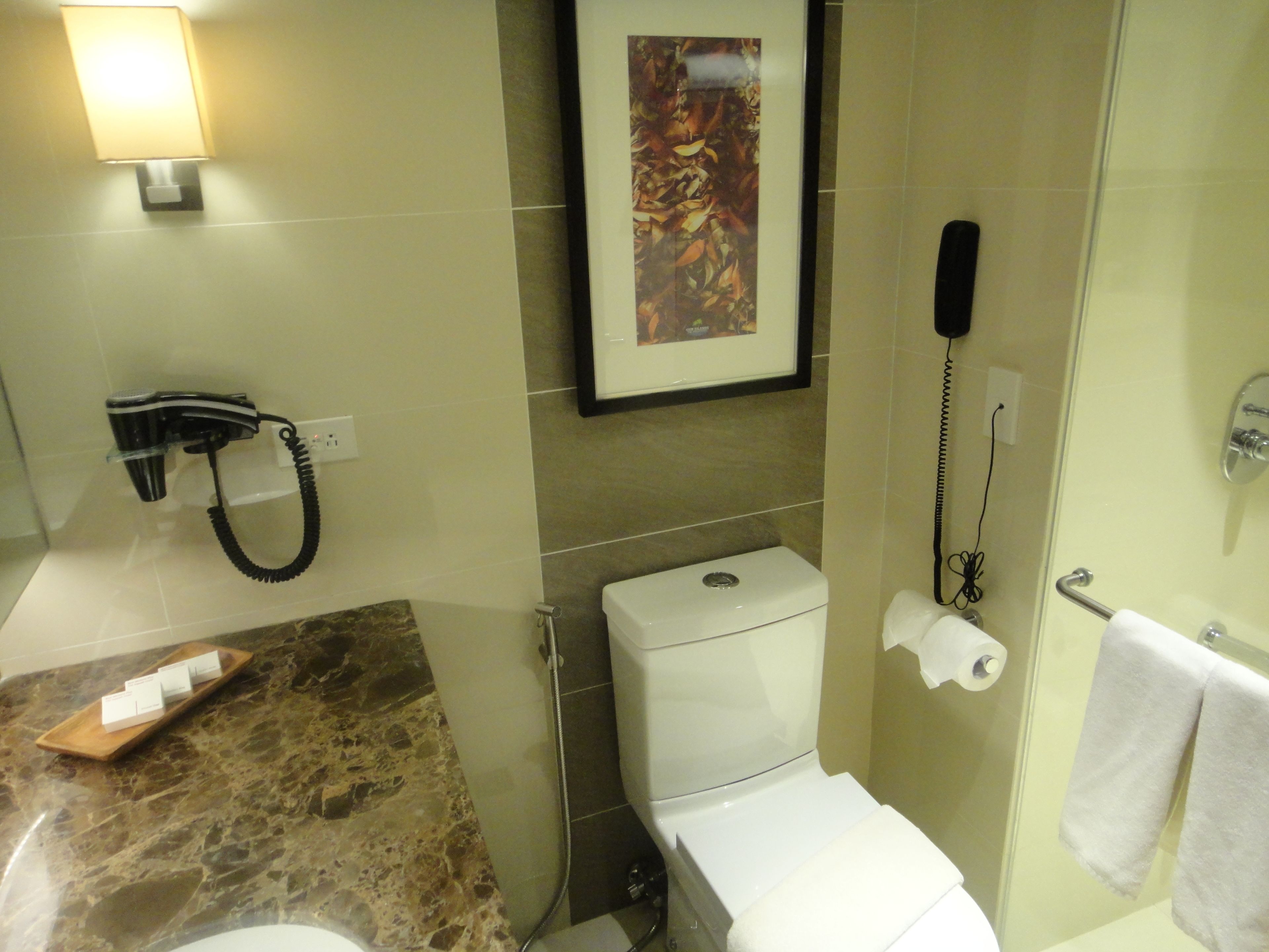 Ein Badezimmer mit Toilette, einem Waschbecken mit Marmorplatte, einem gerahmten Bild an der Wand und einem an der Wand befestigten Telefon.