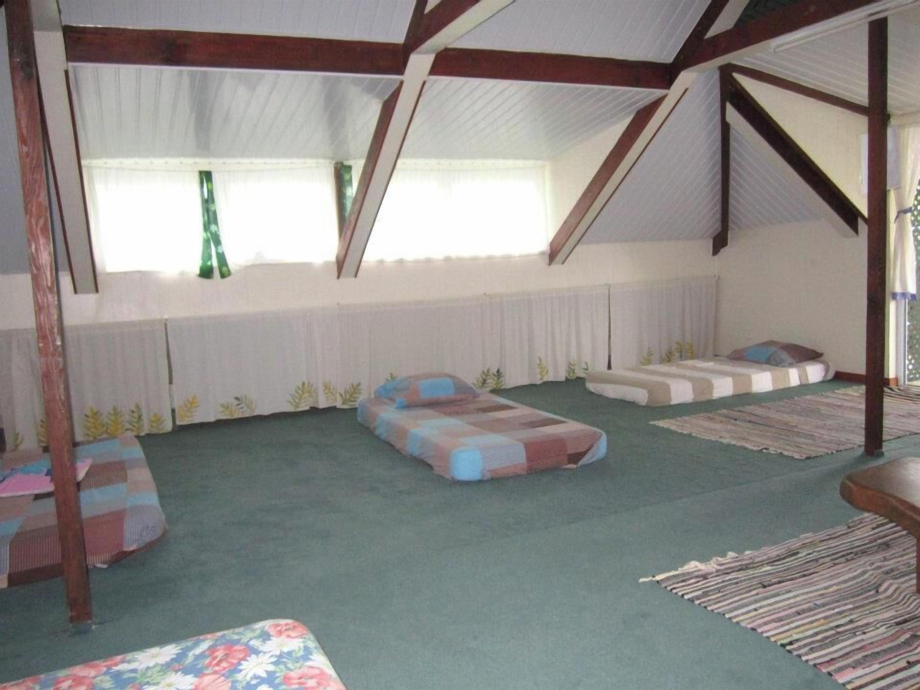 Une chambre de dortoir avec des lits superposés, une moquette verte et une fenêtre avec des rideaux.
