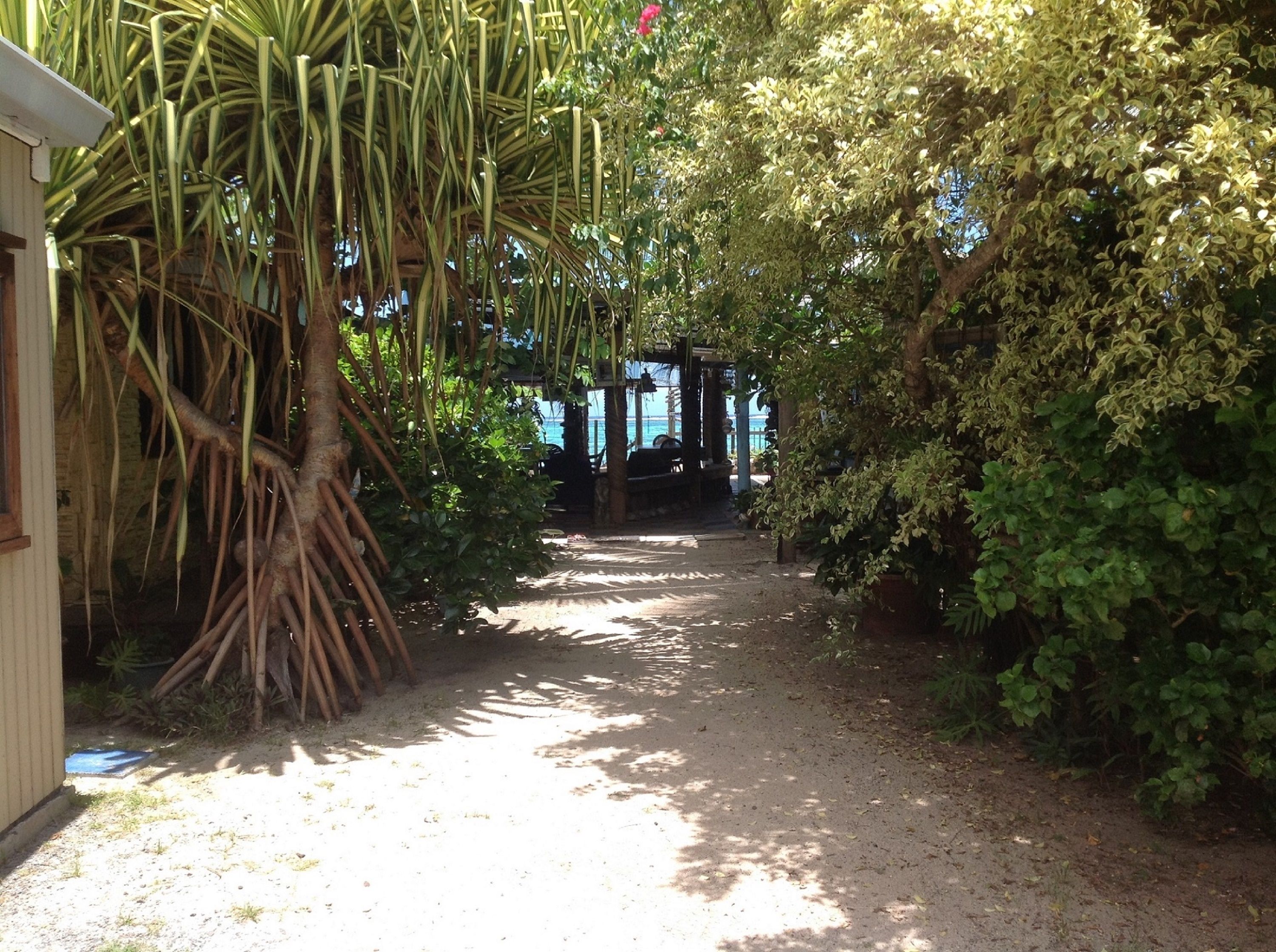 A pathway leading to a covered area with a view of the sea.