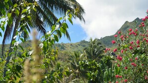 A pathway surrounded by lush greenery and flowering plants, leading towards a mountainous backdrop. - Pension Fare Maheata (Moorea-Maiao)