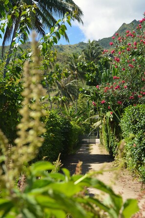 Vue sur les montagnes