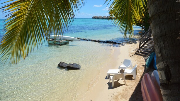 A beach with clear water, a surfboard, and a chair under a palm tree. - Pension Fare Maheata (Moorea-Maiao)