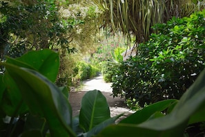 View from property - Pension Fare Maheata (Moorea-Maiao)