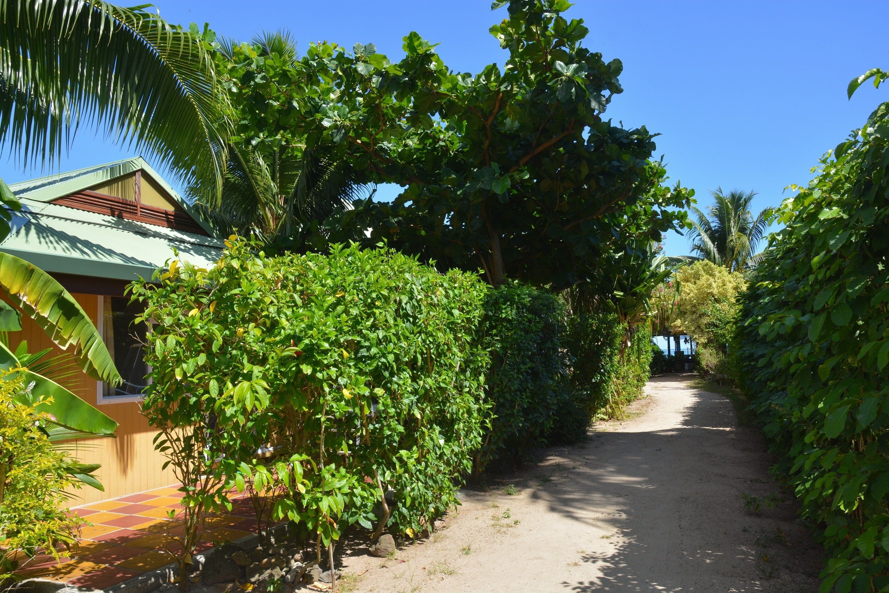 A pathway flanked by dense greenery and a building with a tiled roof.