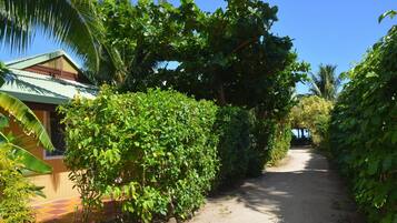 A pathway flanked by dense greenery and a building with a tiled roof.