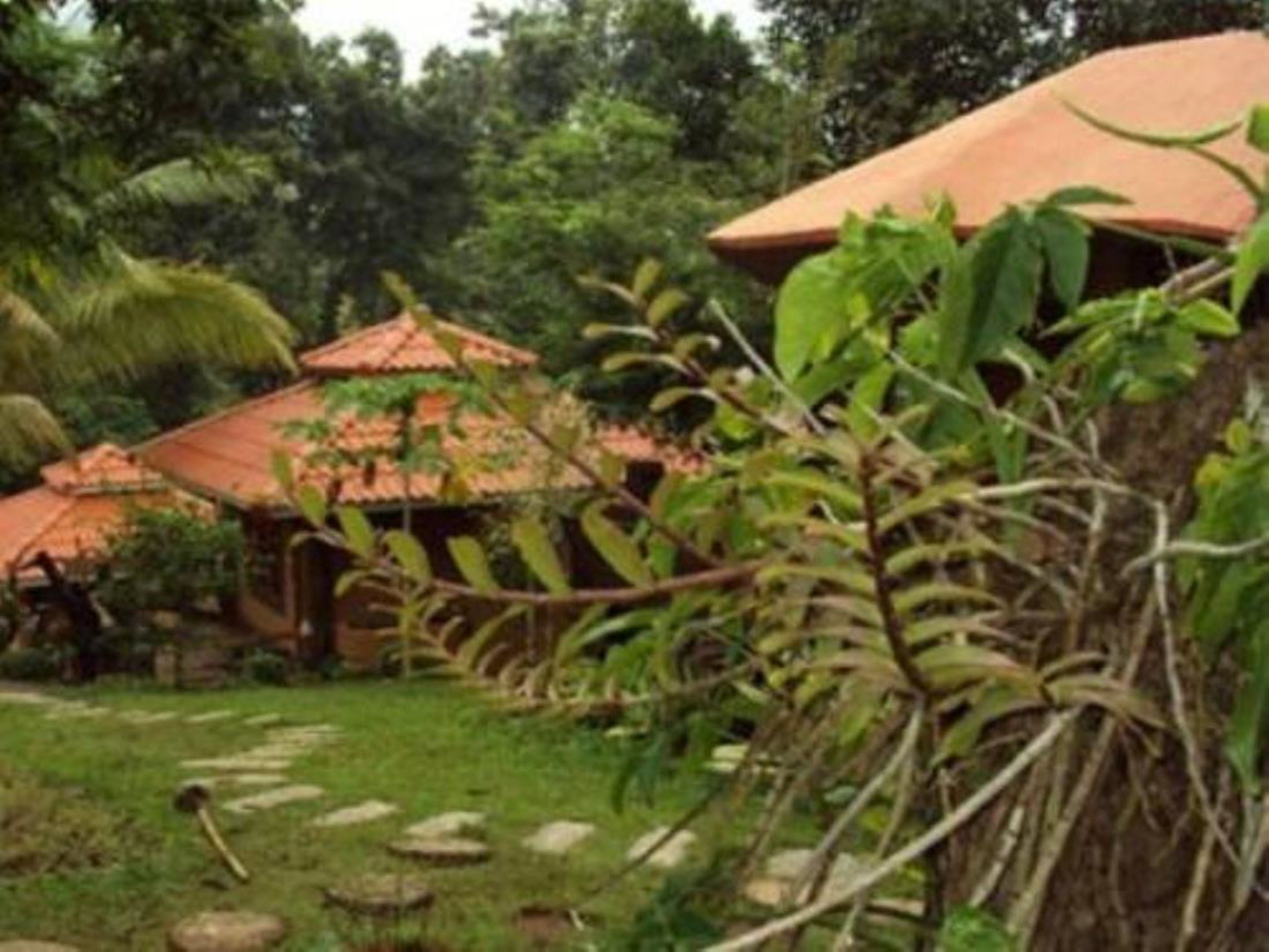 A rustic house with a tiled roof, surrounded by lush greenery and a stone pathway.