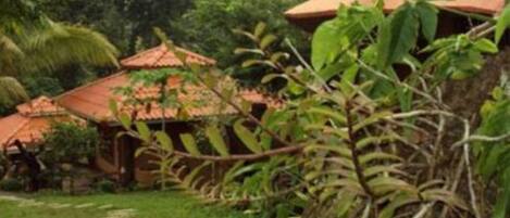 A rustic house with a tiled roof, surrounded by lush greenery and a stone pathway.