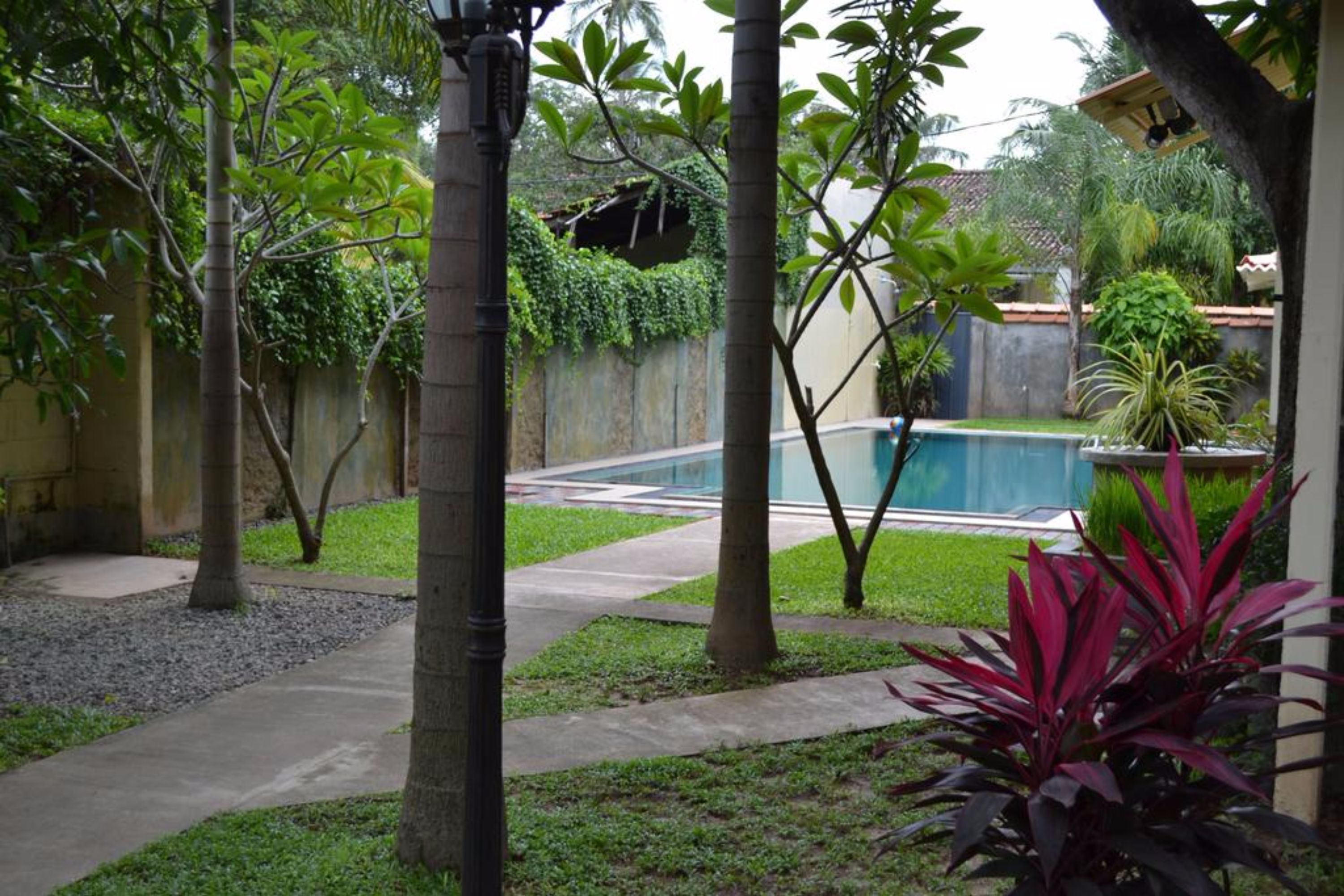 outdoor pool, pool loungers