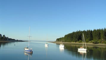 Järvi