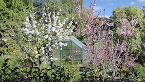 Um jardim com árvores em flor e uma estufa.