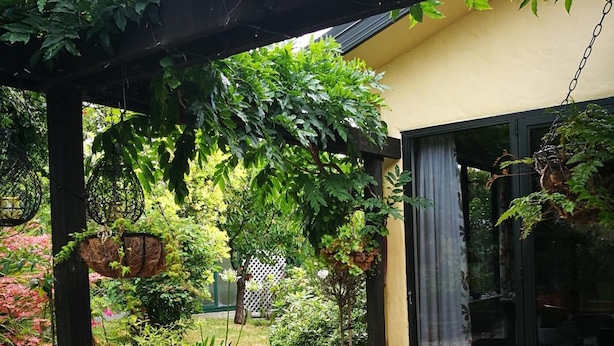 Uma área de estar coberta ao ar livre com móveis de vime, uma planta em vaso com flores cor-de-rosa e diversas folhagens.