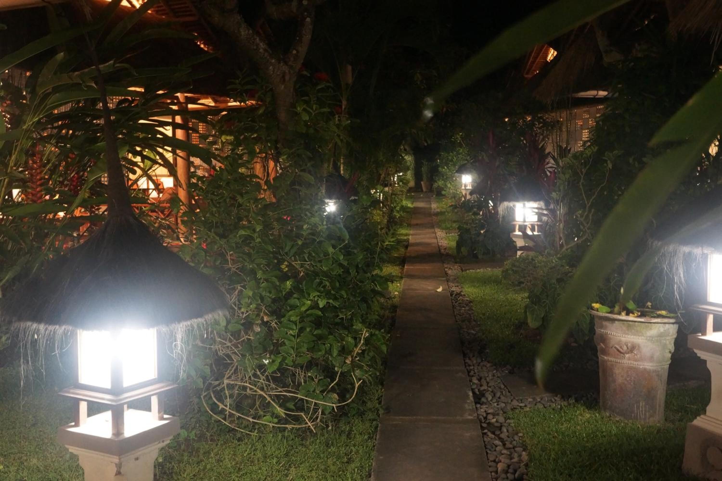 A nighttime garden pathway with illuminated lanterns and lush greenery.