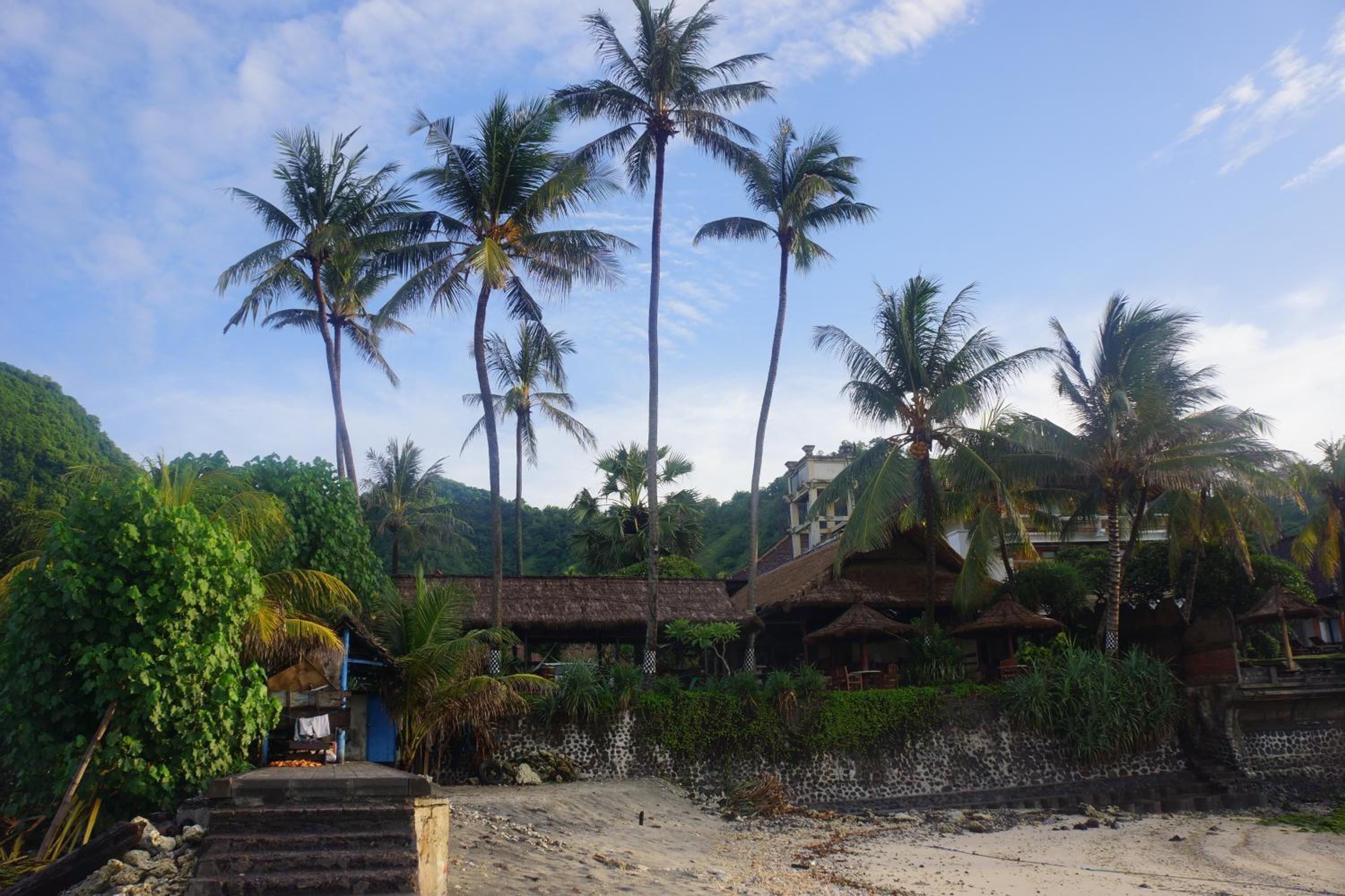 A beachfront property with a thatched-roof building, palm trees, and a sandy beach.