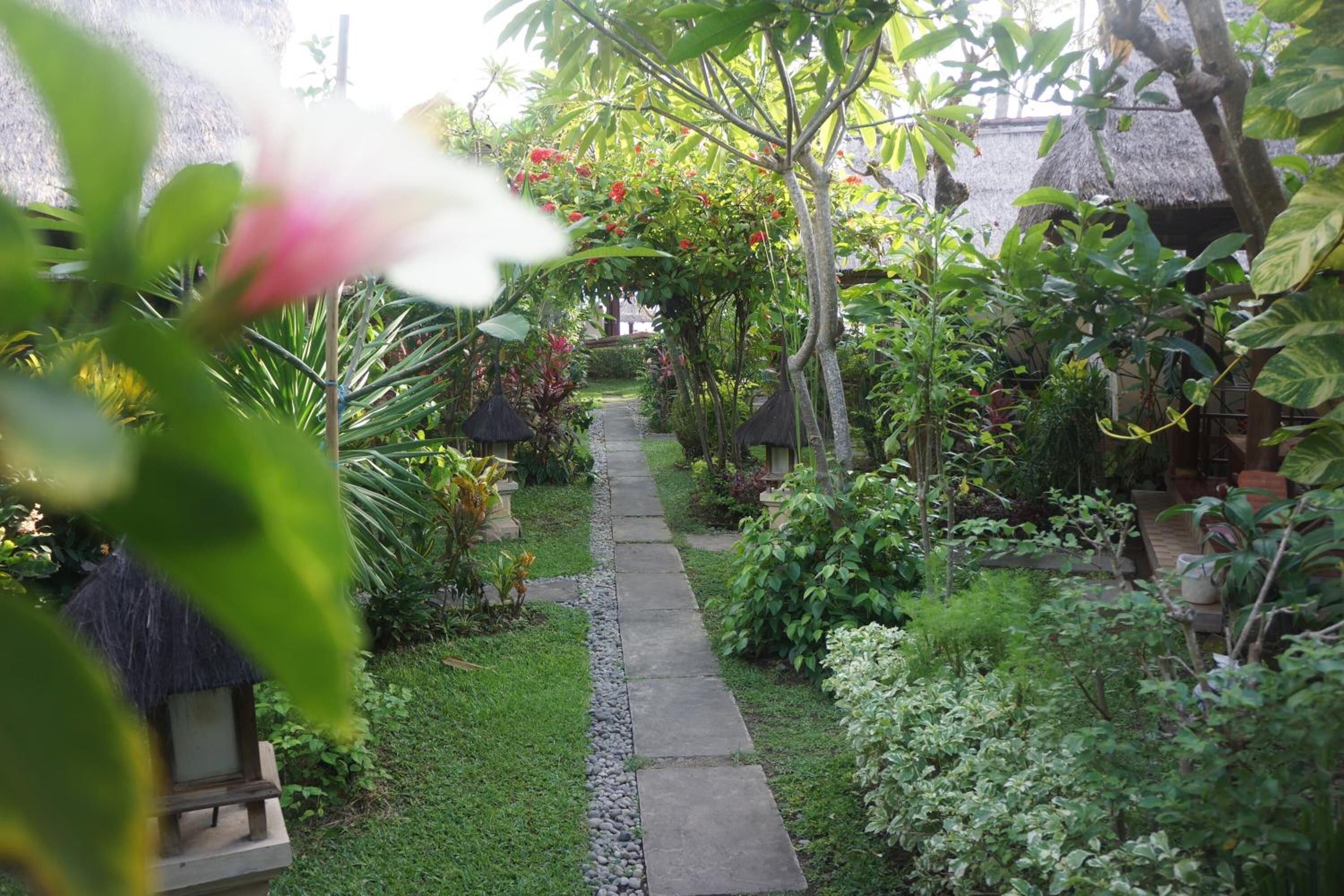 A garden pathway with a thatched-roof structure, surrounded by lush greenery and various plants.