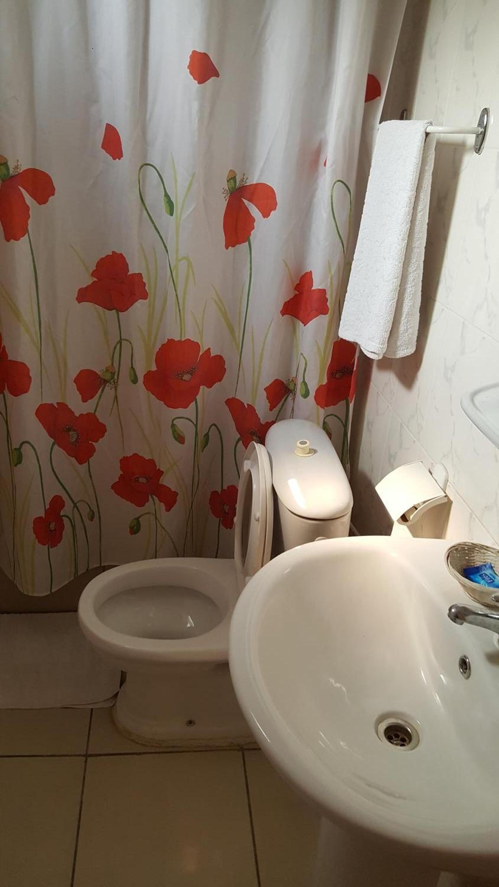 standard single room, 1 queen bed, non smoking, courtyard view | bathroom | free toiletries, towels