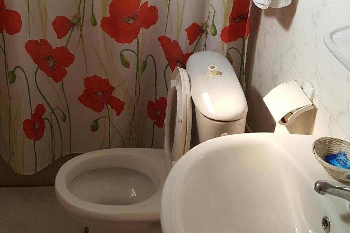 standard single room, 1 queen bed, non smoking, courtyard view | bathroom | free toiletries, towels