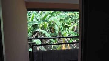 Vista des de l'habitació