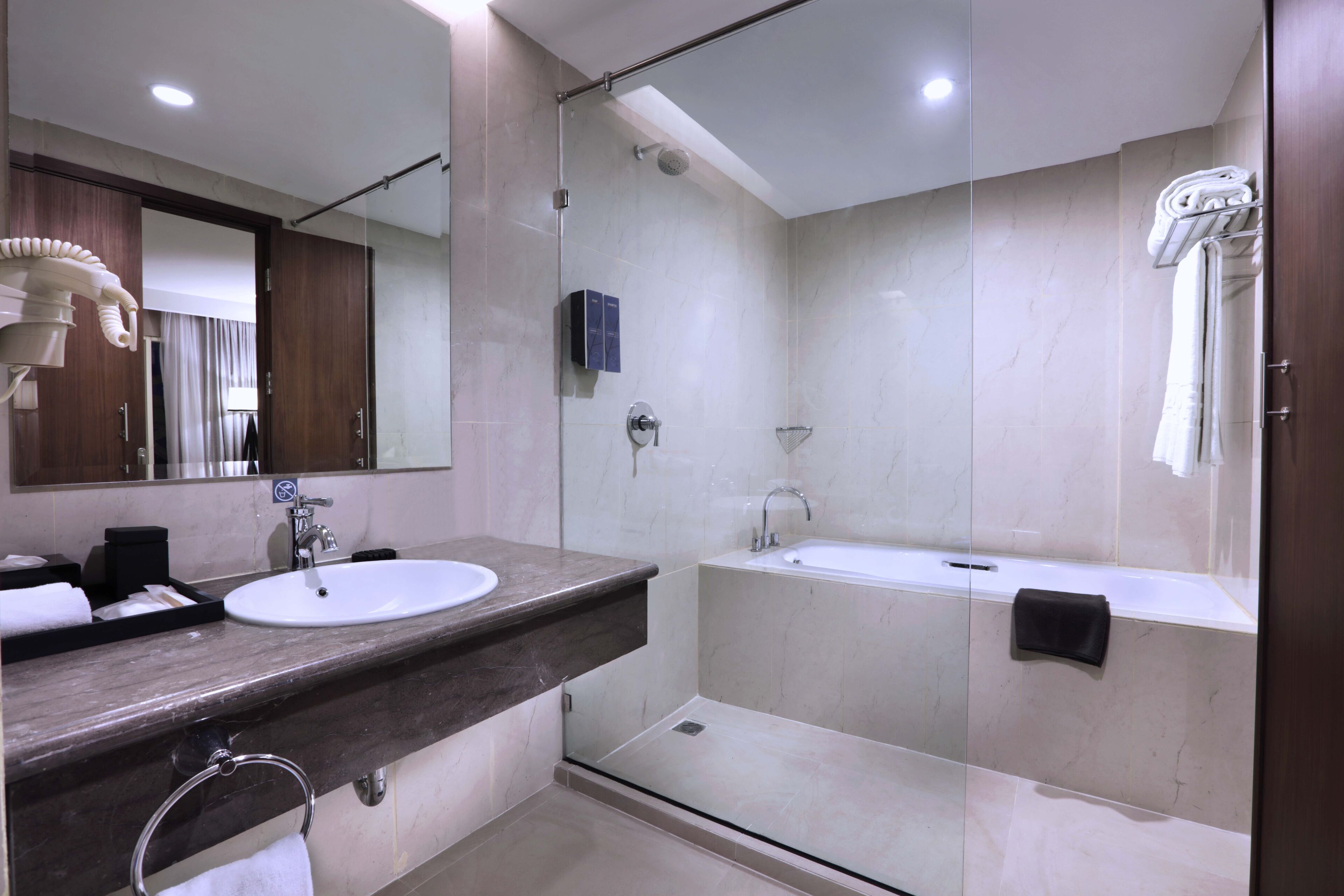 deluxe suite room | bathroom | shower, rainfall showerhead, free toiletries, hair dryer