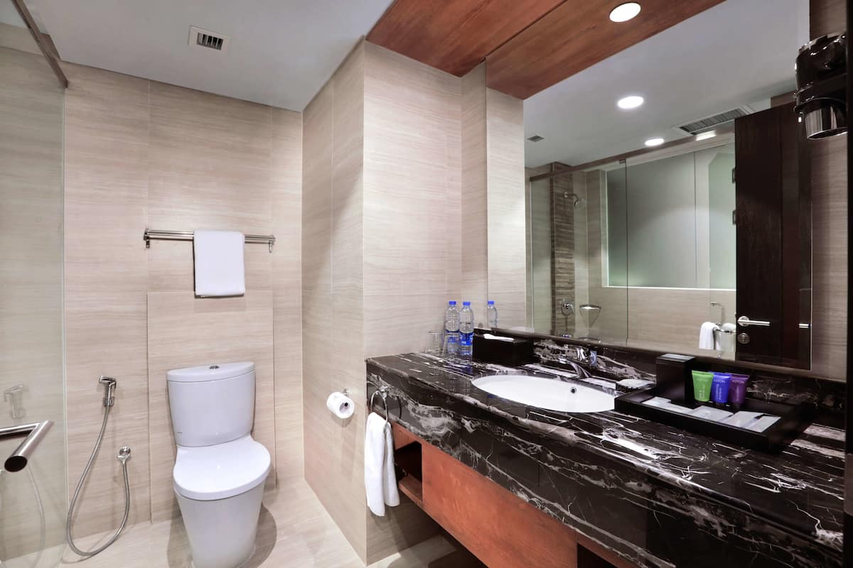 shower, free toiletries, hair dryer, slippers