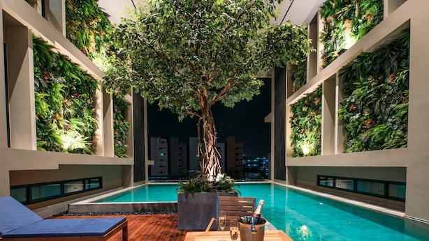 Zona junto a la piscina con un deck de madera, sillas de descanso, una mesa con botella y vaso, y una jardinera con un árbol.