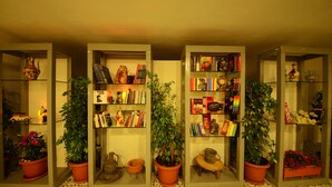 A room with three glass-fronted bookcases filled with books and decorative items, flanked by potted plants. - Neruda Hotel (Kas)
