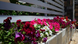 A white wooden fence with a variety of colorful flowers. - Neruda Hotel (Kas)