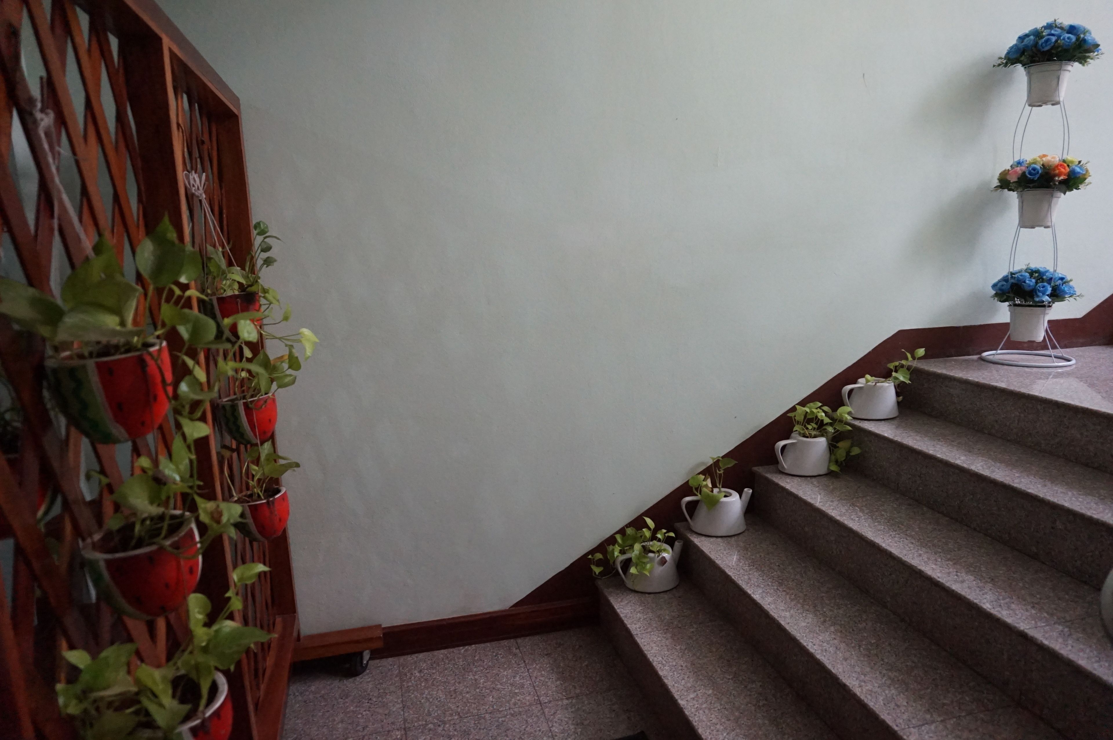 Una escalera con macetas en los peldaños y una estructura de celosía de madera a la izquierda.