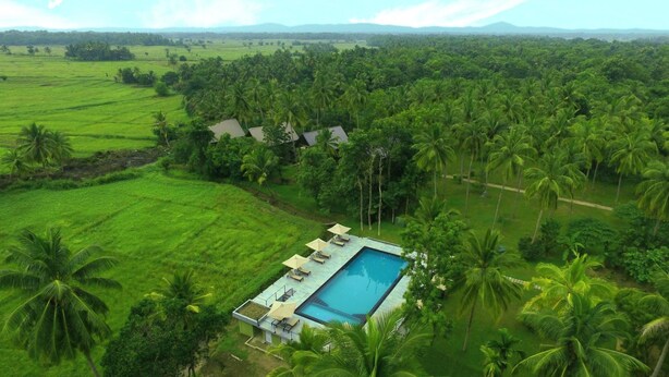 Un resort con piscina rodeada de exuberante vegetación y palmeras.