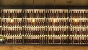 Bar (on property) - La Casita de la Planta (Quintanilla de Onesimo)