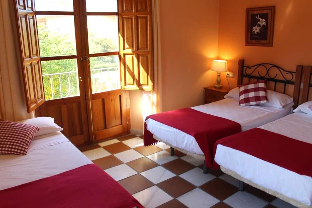 Standard Triple Room | View from room