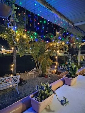 Un espacio al aire libre con plantas en macetas y luces colgantes.