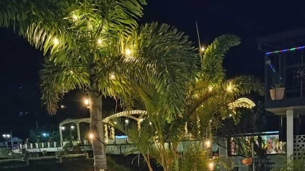 An outdoor seating area with white metal chairs and a bench, surrounded by palm trees and decorative lights. - Hostal Boquete (Boquete)