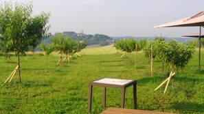 Property grounds - Il Balcone Sul Monferrato (Tonco)