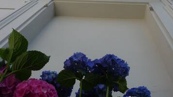 Utvendig detalj