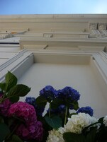 A view of a building's exterior with steps leading up to a door, and a variety of hydrangea flowers in the foreground.