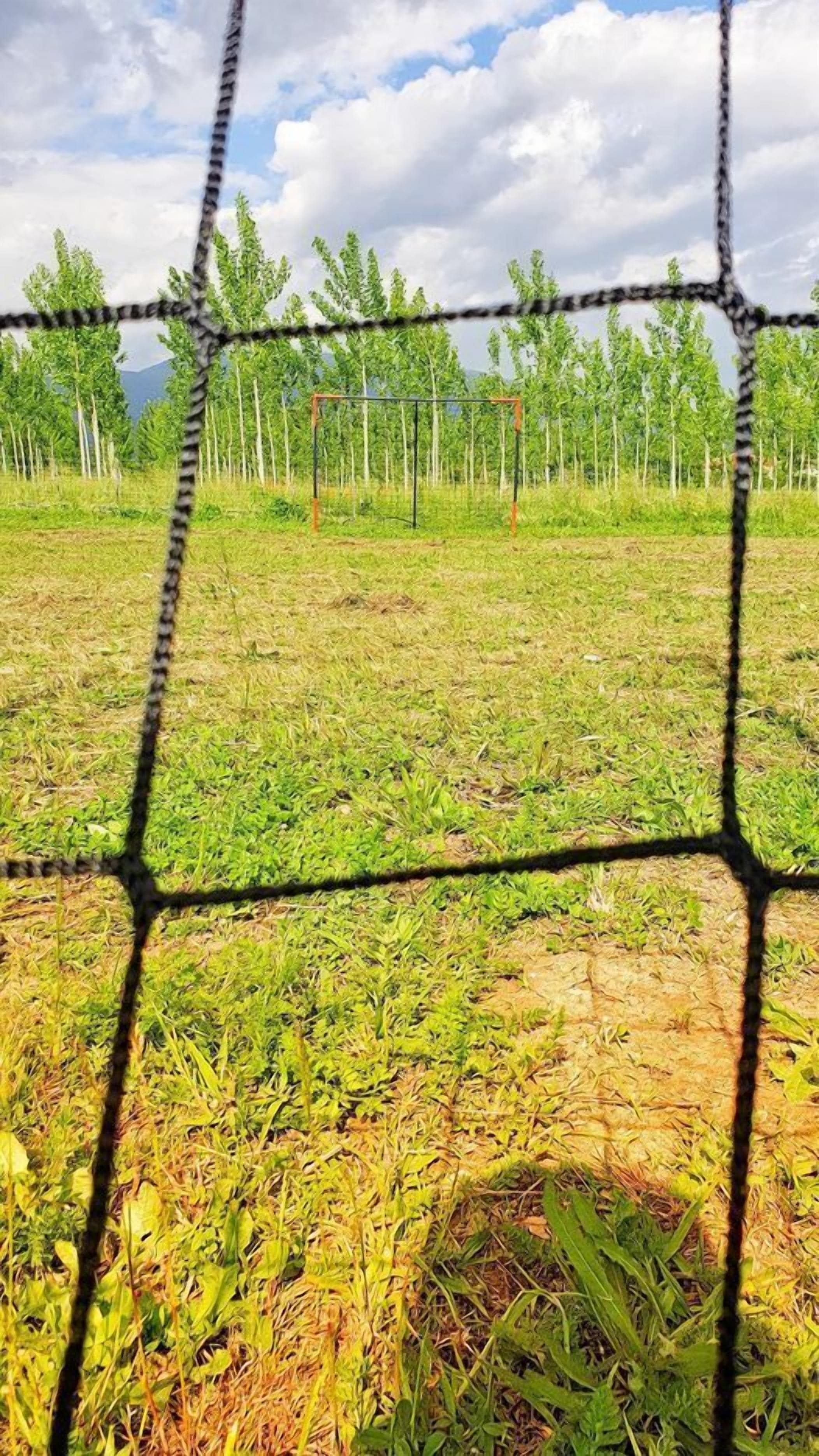A field with a barbed wire fence and young trees in the background.