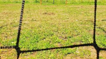 A field with a barbed wire fence and young trees in the background.