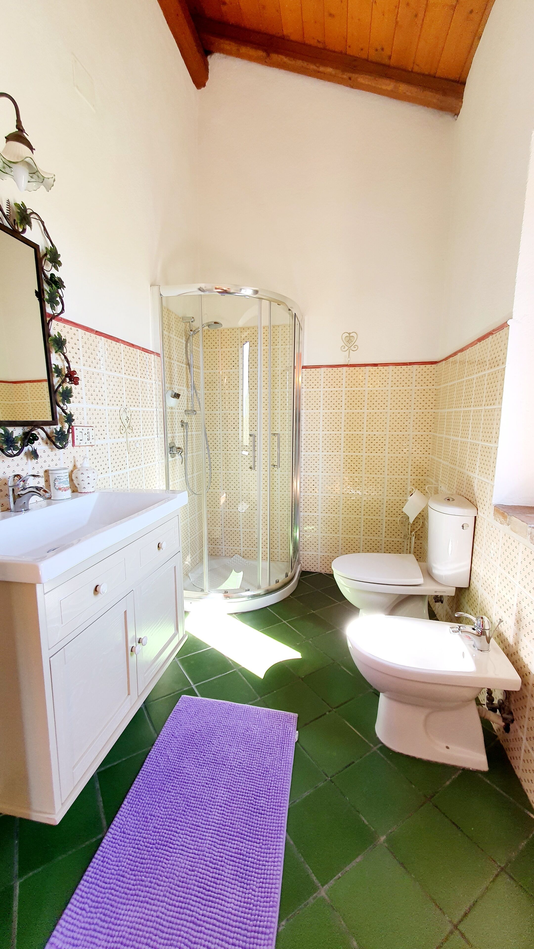 Une salle de bain avec une douche, des toilettes et un lavabo.
