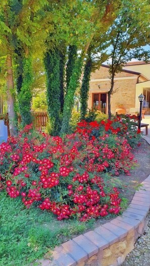 Exterior - Agriturismo il Pioppeto (Cassino)