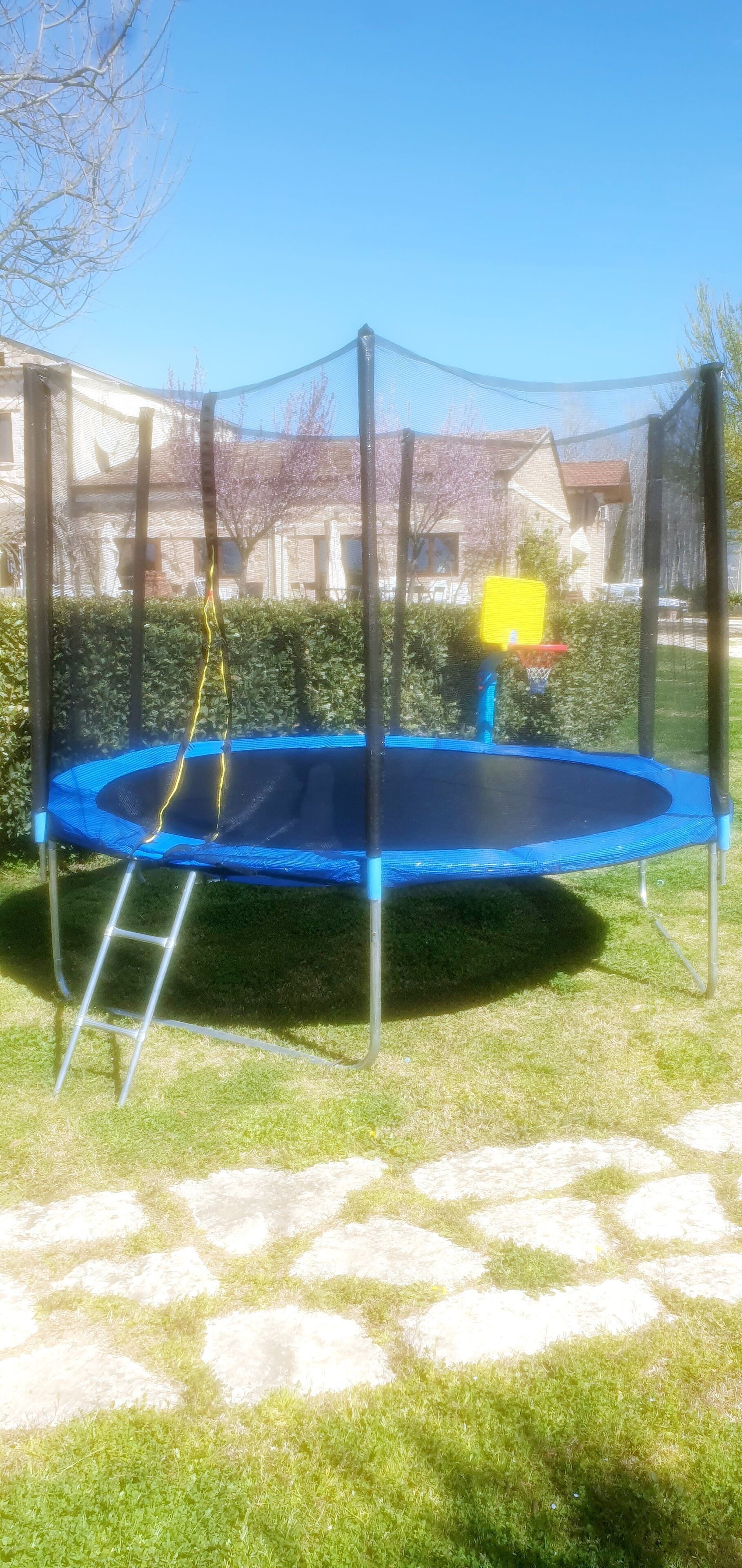 Un trampoline doté d’un filet de sécurité, installé sur une pelouse verdoyante, avec une haie et un panier de basket en arrière-plan.